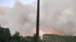 Bomberos continúan combatiendo incendio forestal de Futa