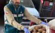 SAG interceptó  98.250 kilos de papas peruanas en operativos en Arica