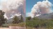 Incendio forestal afecta a Quilpué: Conaf informa cuatro hectáreas afectadas