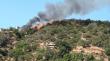 [VIDEO] Incendio forestal consume cuatro hectáreas en Olmué: Bomberos y Conaf en el lugar