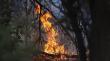 Incendio forestal de Nogales fue controlado: afectó a 1,4 hectáreas en el sector de Pucalán