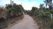 Inician obras de conservación de caminos rurales en Dalcahue
