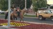 [VIDEO] Dos jóvenes llegan en caballo a comprar a local de McDonald's en Talca