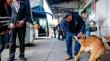 Municipio realizará operativos sanitarios para los perritos del terminal de buses