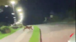 [VIDEO] Puma que recorría costanera de Lago Ranco aún no es atrapado