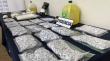 Como en Breaking Bad: Desbaratan laboratorio clandestino de drogas en Valdivia: Incautan más de $124 millones en sustancias ilícitas
