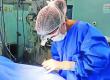 Hospital Las Higueras de Talcahuano realiza con éxito su primer procuramiento de órganos y tejidos del 2024