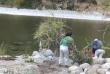 [VIDEO] Linares: mujer empujó a adulto mayor a río Archibueno
