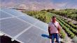 Petorca y Cabildo: programa de energía solar para riego presurizado transforma la agricultura