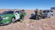 Carabineros de San Pedro de Atacama evita que vehículo robado sea sacado del país