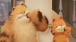“Garfield: Fuera de Casa” se posiciona en el número uno en cines de todo Chile y Latinoamérica