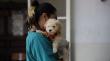 Nueva clínica veterinaria municipal en Valparaíso: estará enfocada en animales sin dueños