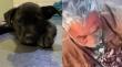 “¡No hagai más esa hu…”: acusado de cortarle la corra a perrito sufrió brutal golpiza en Valparaíso