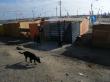 Crisis habitacional: 50 mil habitantes registran campamentos en la Región de Antofagasta