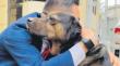 Diputado Videla cuenta cómo logró autorización para que perrito “Tuto” viviera en el Congreso