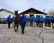 Capacitan a inspectores municipales de Concepción en manejo de caballos sueltos
