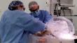 Séptimo procuramiento de órganos en Puerto Montt da una oportunidad de vida a siete personas