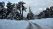 Ante nevadas y hielo en ruta: conoce el estado de los pasos fronterizos en La Araucanía