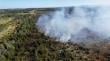 Incendio quemó cinco hectáreas de pomponales en Dalcahue