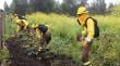 Construyen cortafuegos para proteger viviendas en San Antonio ante incendios forestales