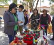 Casa Telar: el trabajo de artesanas y artesanos que revitaliza la cultura Lickanantay