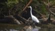 Consulta indígena sobre la &quot;Ley para la Naturaleza&quot; contempla encuentros en 10 comunas de Los Lagos