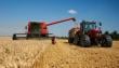 Agricultores y gremios Agrícolas de La Araucanía analizan el mercado del trigo con la Mesa de Trabajo Institucional de Cereales