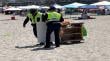 Decomisan bebidas alcohólicas y carros completeros en fiscalización en Playa Cavancha de Iquique