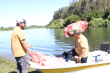 Realizan jornada de limpieza en las orillas del río Chol Chol