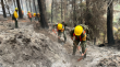 Se declara Alerta Roja para Chiguayante por incendio forestal: hay amenaza al Parque Nacional Nonguén