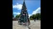 Vandalizaron árbol navideño de la plaza de armas de Castro