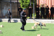 Gendarmería realizó en Temuco el primer encuentro de canes adiestrados de la zona sur