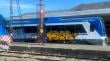 Vandalizaron tren recién llegado a Puerto Varas: lo rayaron con graffitis