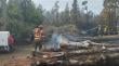 Faenas forestales ilegales serían causa de incendio en sector Taiquemó de Ancud