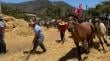 [FOTOS] “Trilla a yegua suelta”: la tradición que se sigue manteniendo con el tiempo en Olmué