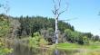 Conaf cierra la Reserva Nacional Lago Peñuelas y el Parque Nacional La Campana ante altas temperaturas