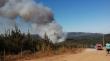 Se declaró Alerta Roja para Tomé por incendio forestal