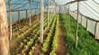 Desarrollo Local de Ancud logra exitosas postulaciones a fondos del Indap para beneficiar a agricultores locales