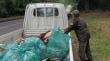 Oficiaron al comercio por presencia de basura en la Ruta 215