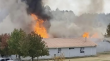 Un violento incendio afectó a base forestal en Tomé