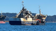 Tripulación del barco Cobra presentó querella en contra del abogado de las familias del Bruma
