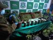 Operativos en Valdivia y Panguipulli: detienen a tres personas por tráfico y cultivo de drogas