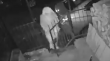 [VIDEO] Hombre se disfrazó de monja para robar un tablero de madera en Santa Juana