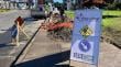 Municipio inicia recambio de más de 60 paraderos en diversos sectores de Viña del Mar