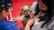 Hasta el domingo continúa plan de esterilización para perros y gatos en Antofagasta