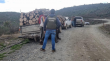 Operativo policial logra detención de 12 personas que fueron sorprendidas talando madera en predios de Coronel