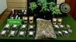Atraparon a comerciante por microtráfico de drogas en local de Ancud