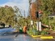 Inicio del temporal en Los Ríos dejó árboles caídos y anegamientos