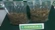 Detienen en El Quisco a dos personas con más de dos kilos de marihuana tras persecución