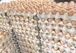 Ariqueños afectados por nueva alza de los huevos